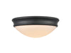 Millennium 5221-MB Ceiling Light - Matte Black
