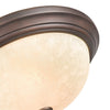 Millennium 4803-RBZ Ceiling Light - Rubbed Bronze