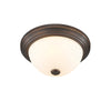 Millennium 4901-RBZ Ceiling Light - Rubbed Bronze