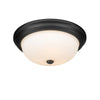 Millennium 4905-MB Ceiling Light - Matte Black